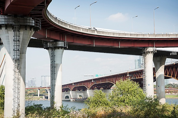 포토 JPG 주간 나무 하늘 서울 한국 사람없음 야외 도시풍경 도시 강가 한강 다리밑 성수대교 국내포토 자연요소 식물 아시아 풍경 강 다리_건축물 아래 랜드마크 파일형식