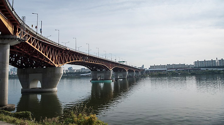 포토 JPG 주간 식물 구름 하늘 서울 한국 사람없음 야외 도시풍경 도시 강가 한강 성수대교 국내포토 자연요소 아시아 풍경 강 다리_건축물 랜드마크 파일형식