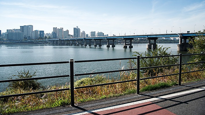 포토 JPG 주간 식물 구름 하늘 서울 한국 빌딩 사람없음 야외 도시풍경 도시 강가 한강 도보 영동대교 국내포토 자연요소 아시아 풍경 건물 강 다리_건축물 랜드마크 파일형식