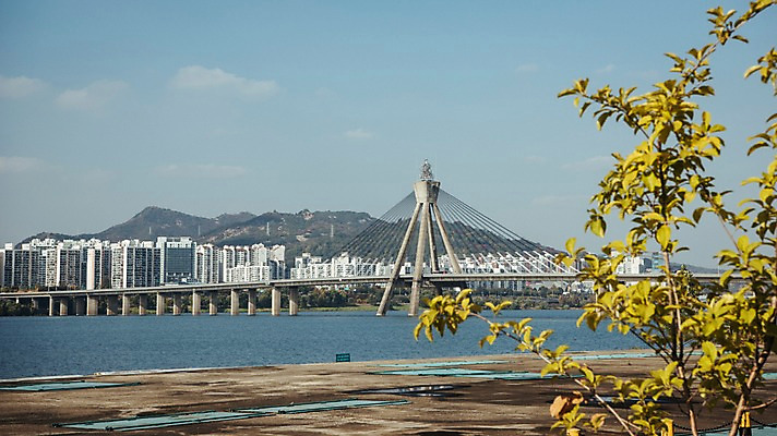 포토 JPG 주간 하늘 산 서울 한국 빌딩 사람없음 야외 도시풍경 도시 강가 개나리 한강 올림픽대로 국내포토 자연요소 꽃 아시아 풍경 건물 강 다리_건축물 랜드마크 파일형식