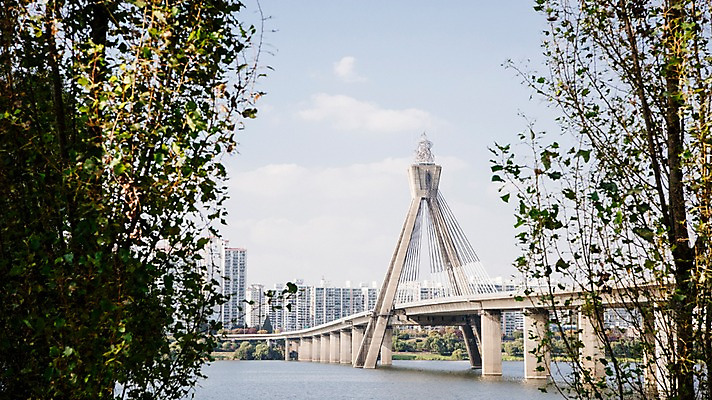 포토 JPG 주간 나무 구름 하늘 서울 한국 빌딩 사람없음 야외 도시풍경 도시 강가 한강 올림픽대로 국내포토 자연요소 식물 아시아 풍경 건물 강 다리_건축물 랜드마크 파일형식