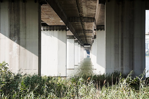 포토 JPG 주간 식물 서울 한국 사람없음 야외 도시풍경 도시 강가 한강 다리밑 올림픽대로 국내포토 자연요소 아시아 풍경 강 다리_건축물 아래 랜드마크 파일형식