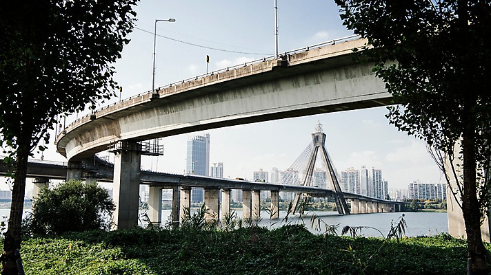 포토 JPG 주간 나무 로우앵글 서울 한국 사람없음 야외 도시풍경 도시 강가 한강 다리밑 올림픽대로 국내포토 자연요소 식물 아시아 뷰포인트 풍경 강 다리_건축물 아래 랜드마크 파일형식