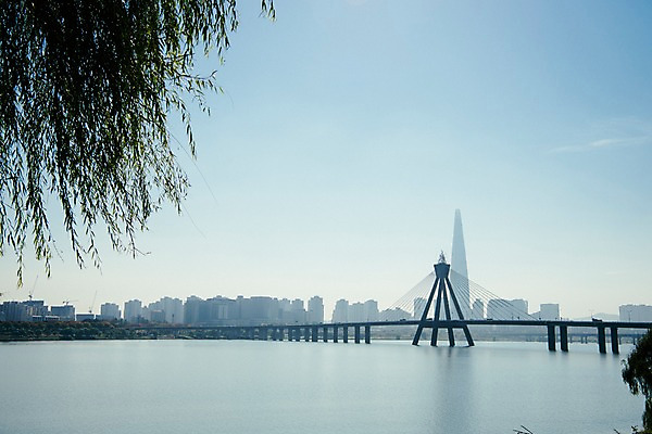 포토 JPG 주간 나무 하늘 서울 한국 빌딩 사람없음 야외 도시풍경 도시 강가 한강 올림픽대로 국내포토 자연요소 식물 아시아 풍경 건물 강 다리_건축물 랜드마크 파일형식