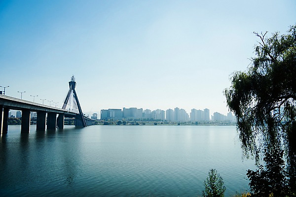 포토 JPG 주간 나무 하늘 서울 한국 빌딩 사람없음 야외 도시풍경 도시 강가 한강 올림픽대로 국내포토 자연요소 식물 아시아 풍경 건물 강 다리_건축물 랜드마크 파일형식