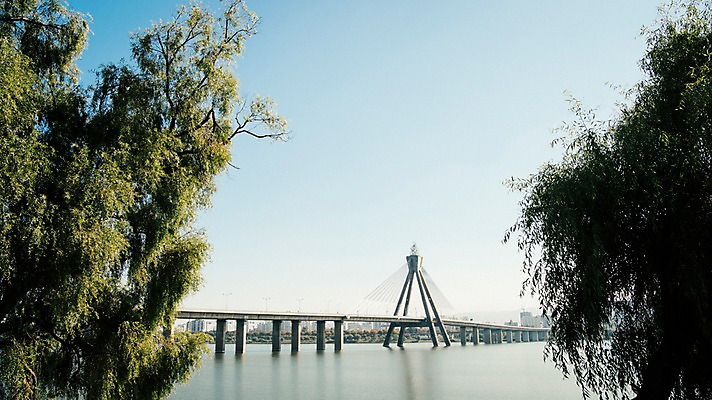 포토 JPG 주간 나무 하늘 서울 한국 사람없음 야외 도시풍경 도시 강가 한강 올림픽대로 국내포토 자연요소 식물 아시아 풍경 강 다리_건축물 랜드마크 파일형식