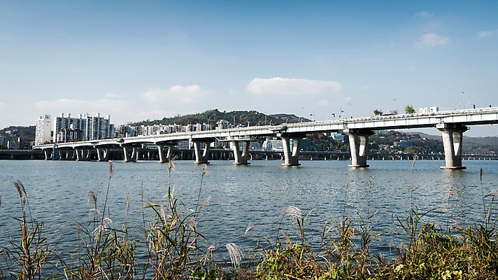 포토 JPG 주간 식물 구름 하늘 서울 한국 사람없음 야외 도시풍경 도시 강가 한강 광진교 국내포토 자연요소 아시아 풍경 강 다리_건축물 랜드마크 파일형식