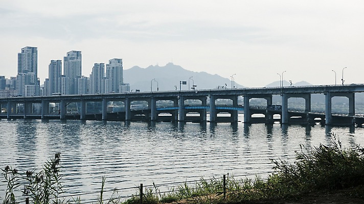 포토 JPG 주간 식물 하늘 서울 한국 빌딩 사람없음 야외 도시풍경 도시 강가 한강 반포대교 국내포토 자연요소 아시아 풍경 건물 강 다리_건축물 랜드마크 파일형식