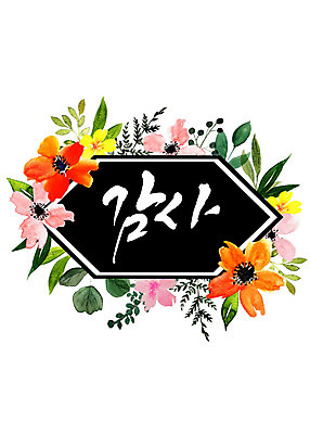 도형 PSD 식물 꽃 일러스트 캘리그라피 나뭇잎 수채화 프레임 따뜻함 타이포그라피 한글 사람없음 화려 감사 감성 육각형 꽃프레임 국내일러스트 문자 감정 컨셉 잎 파일형식