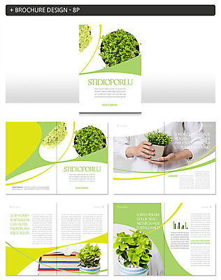 템플릿 여자 ZIP 화분 한명 들기 팜플렛 신체부위 책 초록색 새싹 봄 양손 인디자인 INDD 이미지템플릿 식물 1 손 계절 컬러 모션 사람 파일형식