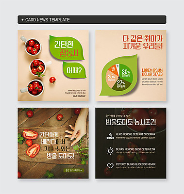 PSD 식물 템플릿 손 웹템플릿 방울토마토 그래프 취미 신체부위 초록색 농사 양손 발코니 기르기 카드뉴스 이미지템플릿 컬러 농업 토마토 사람 돌봄 파일형식