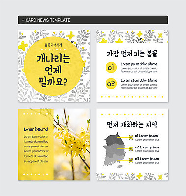 PSD 템플릿 웹템플릿 지도 봄꽃 사람없음 노란색 봄 개화 개나리 지역 카드뉴스 이미지템플릿 계절 꽃 컬러 파일형식