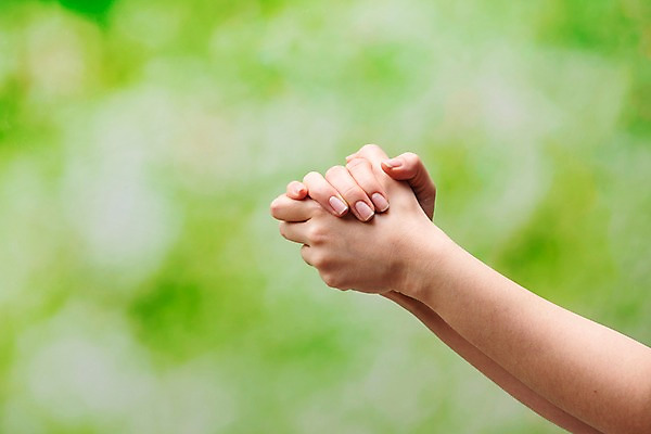 포토 JPG 스튜디오촬영 기독교 실내 한명 아웃포커스 신체부위 믿음 한국인 양손 기도 예배 손모으기 찬양 숭배 초록배경 국내포토 1 손 감정 종교 백그라운드 촬영기법 사람 동양인 손짓 내부 초록색 파일형식