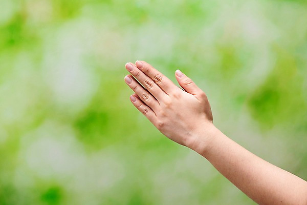 포토 JPG 스튜디오촬영 기독교 실내 한명 아웃포커스 신체부위 믿음 한국인 양손 기도 예배 손모으기 찬양 숭배 초록배경 국내포토 1 손 감정 종교 백그라운드 촬영기법 사람 동양인 손짓 내부 초록색 파일형식