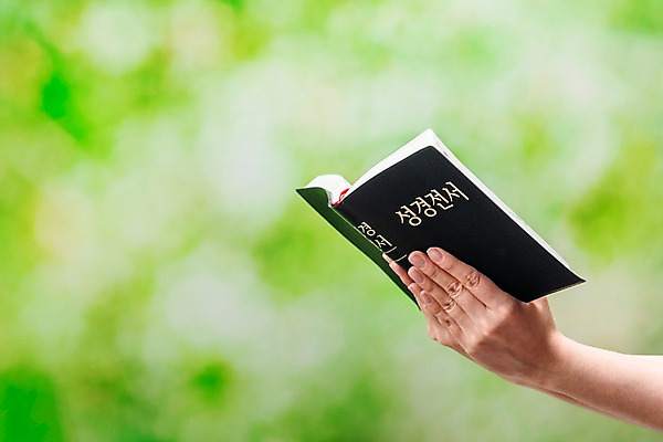 포토 JPG 스튜디오촬영 기독교 실내 한명 들기 아웃포커스 신체부위 믿음 성경 한국인 양손 기도 예배 찬양 숭배 초록배경 국내포토 1 손 감정 종교 백그라운드 종교용품 모션 촬영기법 사람 동양인 내부 초록색 파일형식