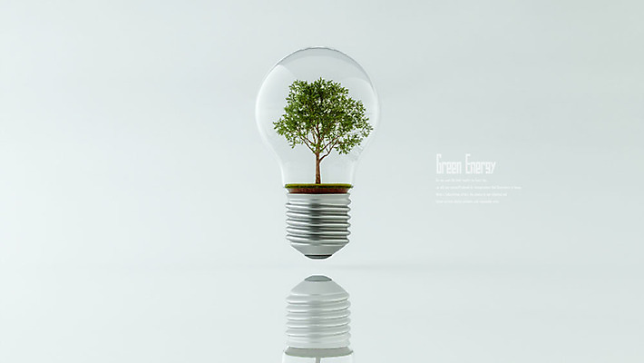 PSD 나무 편집이미지 백그라운드 전구 사람없음 초록색 3D소스 3D 그린에너지 디지털합성 오브젝트 에코 친환경 편집소스 편집3D 식물 컬러 환경 에너지 파일형식