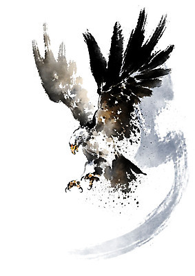 PSD 한마리 날개 일러스트 캘리그라피 붓터치 사람없음 회색 독수리 번짐 날갯짓 발톱 국내일러스트 1 컬러 발 조류 파일형식 효과