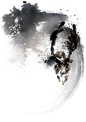 PSD 한마리 응시 일러스트 캘리그라피 붓터치 사람없음 검은색 역동적 독수리 번짐 국내일러스트 1 시선 컬러 컨셉 조류 파일형식 효과