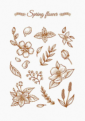 PSD 꽃잎 꽃 잎 꽃백그라운드 일러스트 봄꽃 나뭇잎 사람없음 세트 봄 다양 엘리먼트 국내일러스트 식물 계절 다수 백그라운드 파일형식