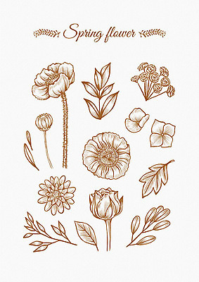 PSD 무료이미지 꽃잎 꽃 잎 꽃백그라운드 일러스트 봄꽃 나뭇잎 사람없음 세트 봄 다양 엘리먼트 국내일러스트 식물 계절 다수 백그라운드 파일형식