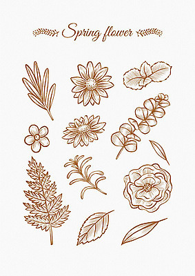 PSD 꽃잎 꽃 잎 꽃백그라운드 일러스트 봄꽃 나뭇잎 사람없음 세트 봄 다양 엘리먼트 국내일러스트 식물 계절 다수 백그라운드 파일형식