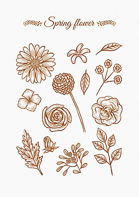 PSD 꽃잎 꽃 잎 꽃백그라운드 일러스트 봄꽃 나뭇잎 사람없음 세트 봄 다양 엘리먼트 국내일러스트 식물 계절 다수 백그라운드 파일형식