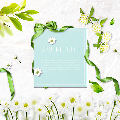PSD 식물 편집이미지 리본 여러송이 잎 나뭇잎 따뜻함 선물 사람없음 초록색 귀여움 봄 초대장 들국화 산뜻 싱그러움 카피스페이스 이미지편집 카드프레임 계절 꽃 컬러 다수 컨셉 카드_감사 프레임 공백 파일형식
