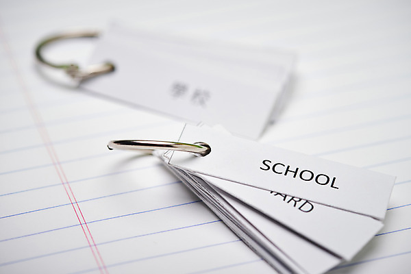 포토 JPG 스튜디오촬영 영어 교육 실내 사람없음 아웃포커스 단어 한자 오브젝트 교구 교육용품 단어카드 에듀 완구용품 외국어교육 창의력 국내포토 문자 문구용품 촬영기법 내부 에듀케이션 파일형식 단어장