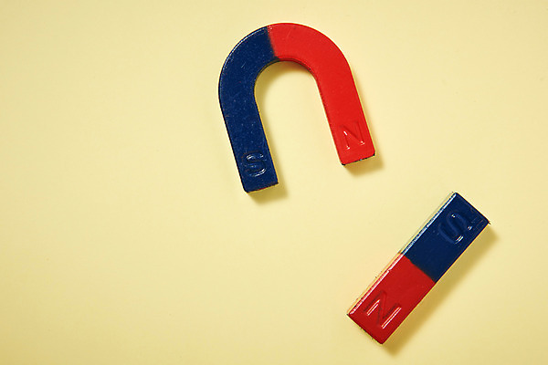 포토 JPG 스튜디오촬영 교육 실내 누끼 사람없음 하이앵글 두개 오브젝트 교구 교육용품 자석 U자형자석 노란배경 막대자석 에듀 완구용품 창의력 플랫레이 국내포토 뷰포인트 백그라운드 2 문구용품 내부 노란색 플랫 에듀케이션 파일형식