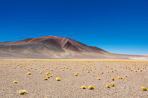 포토 JPG 해외이미지 호수 모래 여행 백그라운드 자연 하늘 휴가 산 건조 파노라마 풍경 사람없음 야외 파란색 계곡 미국 사막 달 남아메리카 화산 소금 칠레 남쪽 석호 오아시스 전국 해외포토 자연요소 컬러 북아메리카 촬영기법 아메리카 방향 생태계 파일형식 이미지허브