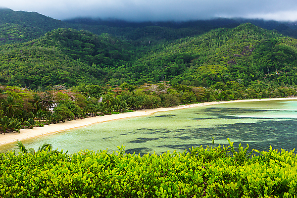 포토 JPG 해외이미지 나무 구름 모래 파도 바다 섬 여행 자연 하늘 휴가 휴식 손바닥 풍경 사람없음 물 여름 파란색 맑음 휴양지 세이셸 석호 터키석 파라다이스 해외포토 자연요소 식물 손 계절 컬러 컨셉 아프리카 날씨 장소 보석 생태계 파일형식 이미지허브