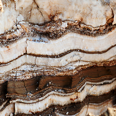 포토 JPG 해외이미지 호수 바다 여행 백그라운드 오렌지 자연 휴가 휴식 산 건강 해변 사람없음 야외 치료 가로 물 약 노란색 환경 스파 사막 죽음 뜨거움 크리스탈 땅 집중 질감 대추 소금 진흙 동쪽 테라피 내추럴 요르단 짠맛 화학물질 해외포토 자연요소 컬러 컨셉 과일 중동 의학 뷰티 화학 맛 광석 방향 생태계 파일형식 이미지허브