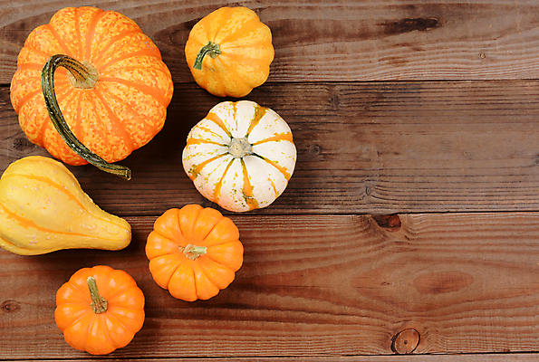 포토 JPG 해외이미지 계절 음식 줄기 농업 곡선 채소 오렌지 호박 사람없음 목재 장식 가로 농장 노란색 줄무늬 수확 닫기 미니 숙성 정물화 카피스페이스 해외포토 나무 식물 산업 선 컬러 무늬 과일 재료 모션 공백 그림 파일형식 이미지허브