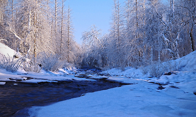 포토 JPG 해외이미지 나무 계절 공원 호수 여행 백그라운드 겨울 자연 하늘 날씨 산 사람없음 야외 목재 물 파란색 강 뷰티 반사 평화 일출 얼음 일몰 추위 흰색 소나무 황무지 저녁 숲 빙하 서리 장면 폭설 눈내림 해외포토 자연요소 식물 공공시설 컬러 컨셉 재료 눈_날씨 노을 야간 자연재해 생태계 파일형식 이미지허브