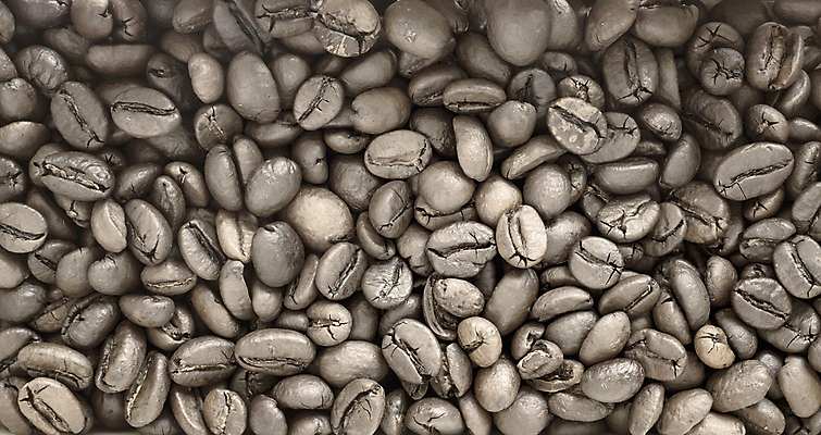 포토 JPG 해외이미지 커피 음료 음식 백그라운드 재료 탁자 아침 콩 실내 건강 씨앗 사람없음 가로 갈색 검은색 어둠 카페 에너지 금지 튀김 신선 그룹 황금 맛 아침식사 정상 낟알 심볼 향 에스프레소 작살 카페인 많음 해외포토 주간 식물 컬러 가구 컨셉 곡류 내부 상점 식사 파일형식 이미지허브