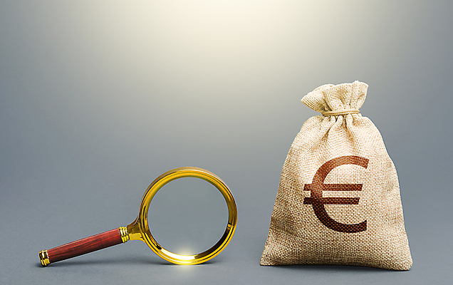 포토 JPG 해외이미지 직업 돈 회색배경 돋보기 사람없음 금융 경제 유로 돈자루 검색 발견 해외포토 백그라운드 회색 재산 파일형식 이미지허브