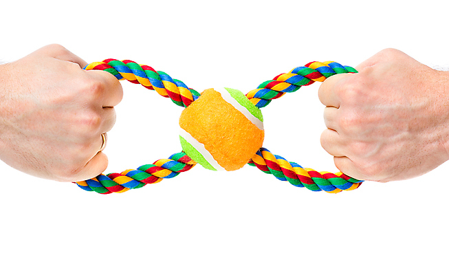 포토 JPG 해외이미지 동물 1 손 교육 어린이 밧줄 스포츠 백그라운드 장난 놀이 휴식 새로움 사람없음 초록색 반려동물 컬러풀 장난감 검은색 고양이 장비 게임 흰색 잡기 면 개 강아지 오브젝트 싱글 슛 부드러움 팔 고무 송곳니 고립 인공 해외포토 줄 컬러 컨셉 포유류 모션 사람 신체부위 감각 치아 파일형식 이미지허브