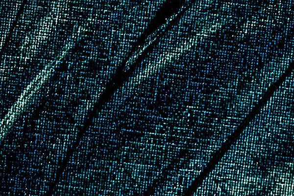 포토 JPG 해외이미지 백그라운드 무늬 붓터치 사람없음 파란색 물감 화려 질감 해외포토 컬러 컨셉 미술도구 파일형식 이미지허브