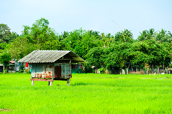 포토 JPG 해외이미지 나무 디자인 영어 벽 여행 겨울 밭 건축양식 자연 하늘 휴가 영국 주택 풍경 사람없음 건물 목재 초록색 농가 농장 유행 꿈 수확 골동품 가을 바위 시골 황무지 버리기 시골집 고립 다트무어 옛날 폭풍우 스코틀랜드 해외포토 식물 문자 건축물 계절 건축 유럽 컬러 농업 재료 모션 비_날씨 자연재해 생태계 파일형식 이미지허브