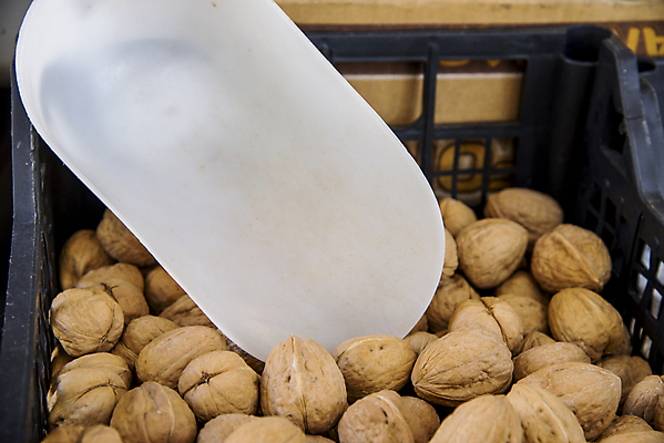 포토 JPG 해외이미지 음식 백그라운드 다이어트 채소 재료 자연 건강 사람없음 목재 갈색 견과류 흰색 신선 그룹 닫기 맛 먹기 오브젝트 유기농 알맹이 날것 호두 내추럴 고립 식용 피칸 해외포토 나무 웰빙 컬러 컨셉 모션 생태계 파일형식 이미지허브