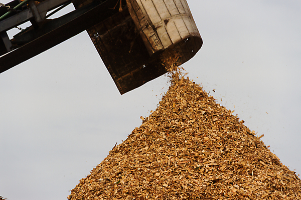 포토 JPG 해외이미지 산업 사람없음 목재 기계 소나무 업무 숲 자르기 질감 목공예 섬유 잡동사니 생태학 수목 압축 톱밥 해외포토 나무 교육 재료 모션 직물 작업 가루 공예 파일형식 이미지허브
