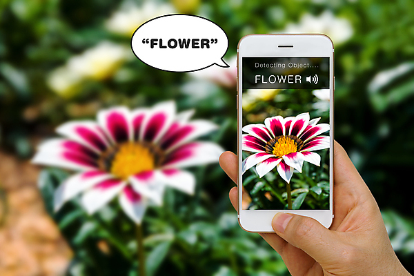 포토 JPG 해외이미지 손 컨셉 인터넷 통신 모바일 말하기 사람없음 단어 스마트폰 핸드폰 디지털 소리 잡기 도움 어플리케이션 스마트 블루투스 목소리 장애 혁명 시각장애인 헬프 해외포토 문자 모션 신체부위 전자제품 스마트기기 장애인 파일형식 이미지허브