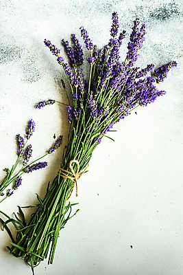 포토 JPG 해외이미지 꽃 꽃다발 실내 사람없음 다발 라벤더 해외포토 식물 내부 허브 파일형식 이미지허브