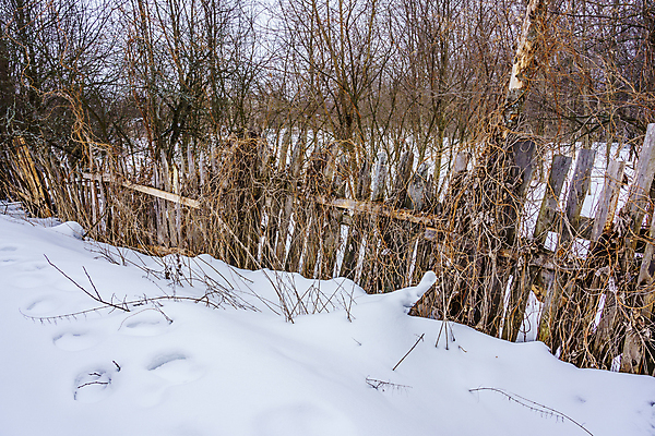포토 JPG 해외이미지 나무 식물 디자인 선 벽 백그라운드 패턴 표면 날씨 사람없음 야외 목재 장식 가로 세로 울타리 정원 어둠 줄무늬 시골 못 판넬 거친 균열 널 가난 버리기 폐허 질감 다리찢기 내추럴 수목 옛날 해외포토 컨셉 무늬 재료 모션 담장 공구 파일형식 이미지허브
