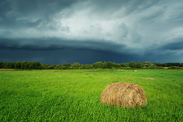 포토 JPG 해외이미지 구름 산업 백그라운드 밭 농업 자연 하늘 날씨 세포 풍경 사람없음 초록색 여름 파란색 농장 검은색 어둠 회색 수확 원형 건초더미 볏짚 밀 폭풍 패키지 뭉치 뇌우 해외포토 자연요소 도형 계절 컬러 곡류 건초 짚 생태계 파일형식 더미 이미지허브