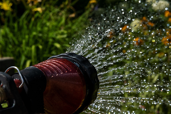 포토 JPG 해외이미지 식물 꽃 사람없음 야외 물 금속 정원 젖음 물주기 원예 화단 스프레이 분무기 호스 노즐 해외포토 자연요소 모션 재질 취미 파일형식 이미지허브