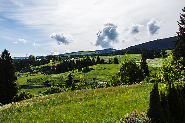포토 JPG 해외이미지 나무 구름 응시 꽃 유럽 도로 하늘 아침 휴가 휴식 산 파노라마 풍경 사람없음 야외 초록색 여름 파란색 뷰티 노란색 평화 환경 침묵 고요 이탈리아 등산 시골 땅 언덕 에코 알프스 방법 엘리먼트 절정 파라다이스 막 해외포토 주간 자연요소 식물 시선 계절 나라 길 컬러 컨셉 교통시설 촬영기법 소리 트래킹 파일형식 이미지허브