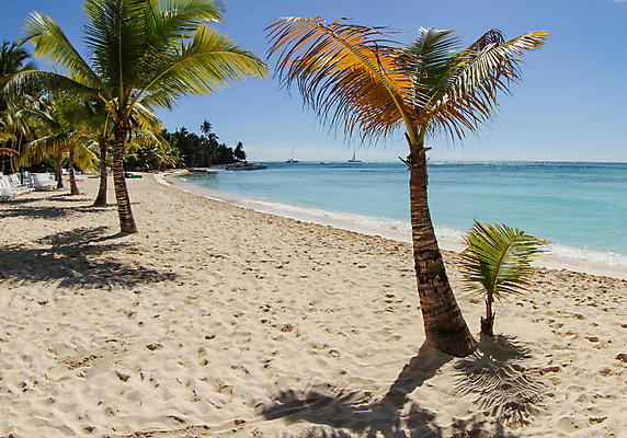 포토 JPG 해외이미지 나무 모래 파도 바다 섬 여행 자연 하늘 휴가 손바닥 사람없음 야외 물 파란색 햇빛 태양 뷰티 평화 에메랄드 공화국 이국적 파라다이스 해외포토 자연요소 식물 손 나라 컬러 컨셉 보석 생태계 파일형식 이미지허브