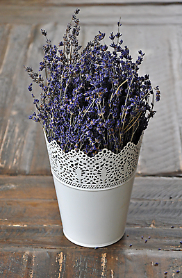 포토 JPG 해외이미지 식물 계절 꽃잎 꽃 화분 꽃다발 꽃무늬 사람없음 장식 여름 정원 꽃병 보라색 봄 벚꽃 약초 허브 향수 원예 향기 아로마 라벤더 해외포토 컬러 무늬 취미 화장품 풀_식물 냄새 파일형식 이미지허브