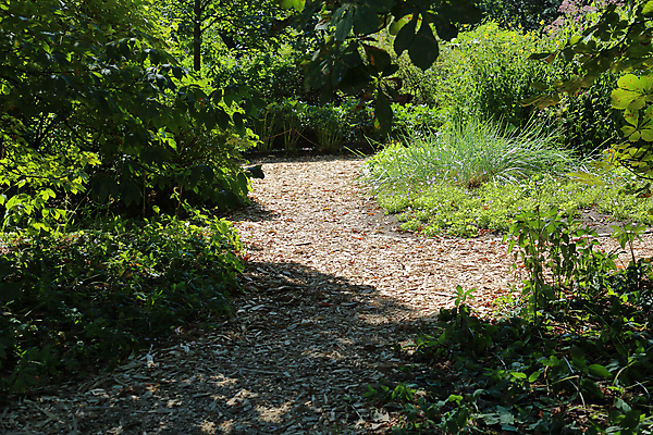 포토 JPG 해외이미지 나무 식물 공원 길 백그라운드 자국 자연 그림자 풍경 사람없음 야외 초록색 여름 걷기 정원 맑음 산책 보행자 오솔길 정사각형 선로 그리너리 해외포토 도형 계절 공공시설 컬러 모션 날씨 휴식 생태계 파일형식 트랜드컬러 이미지허브